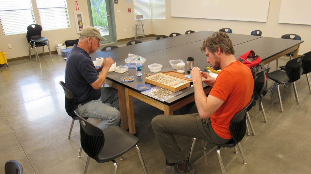Researchers collecting and inventorying moths