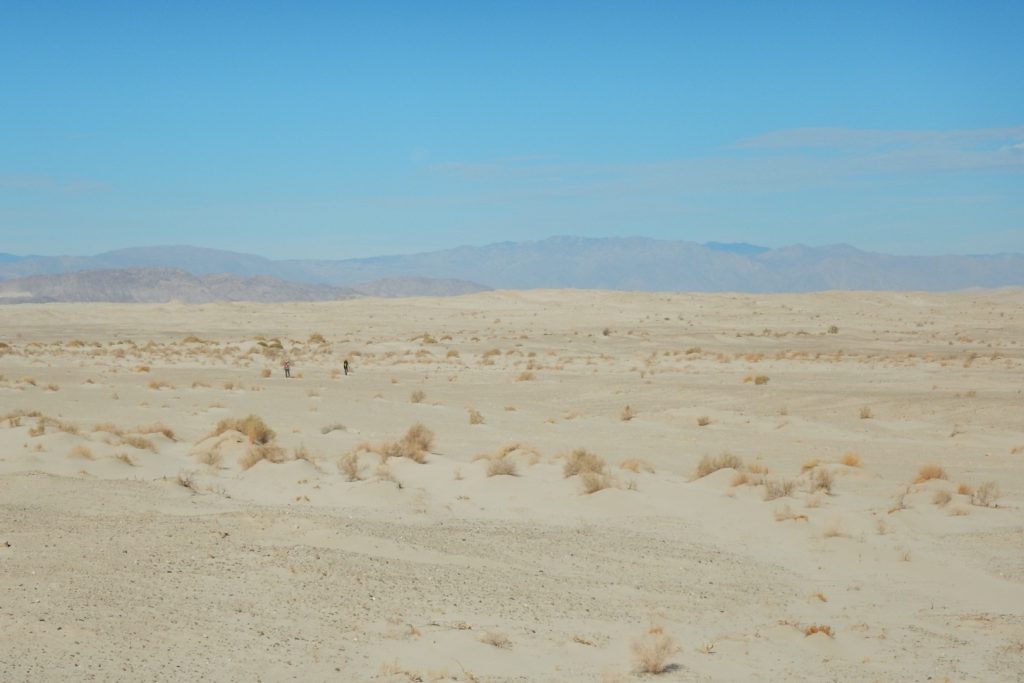 desert