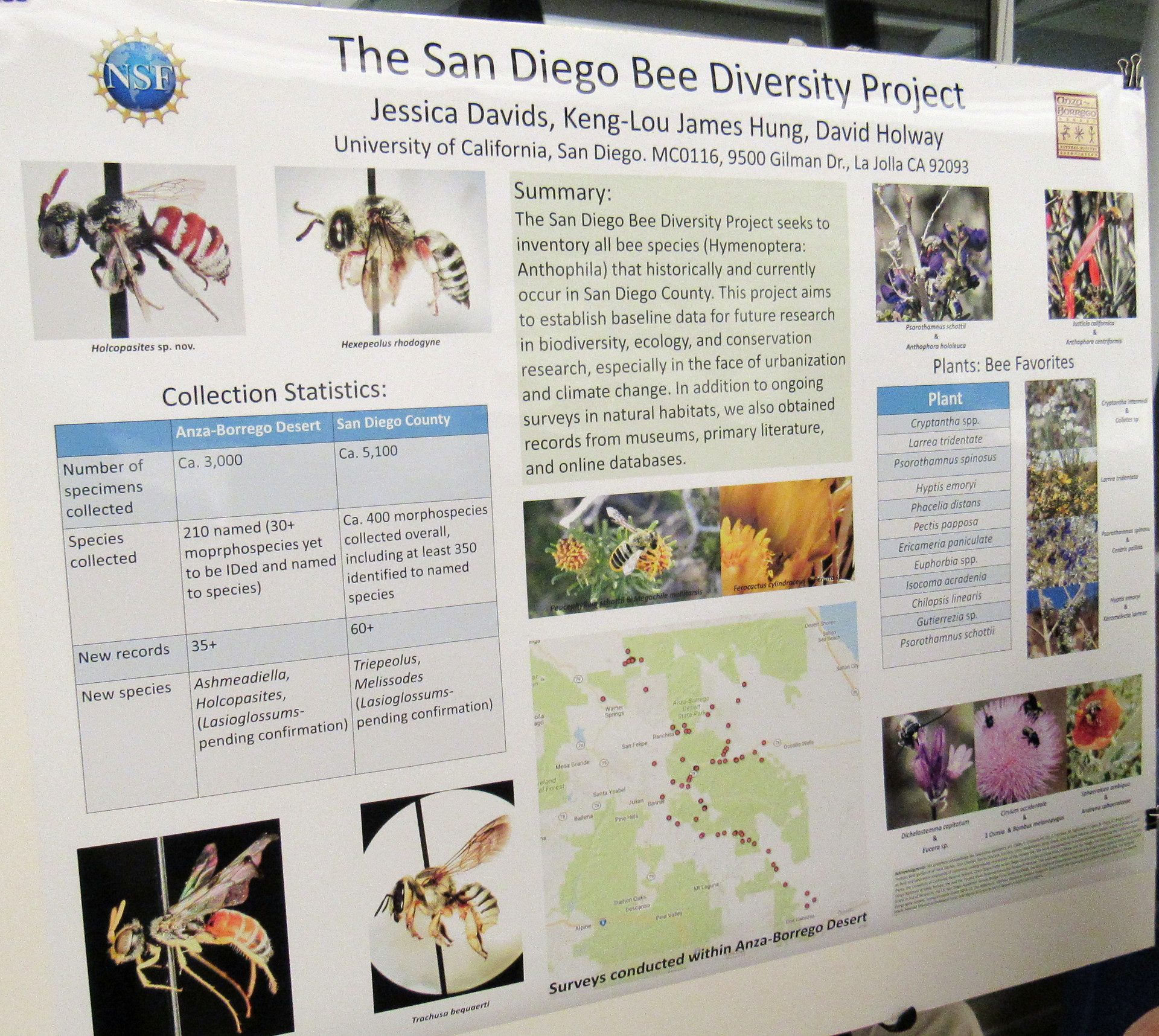 Bees research poster