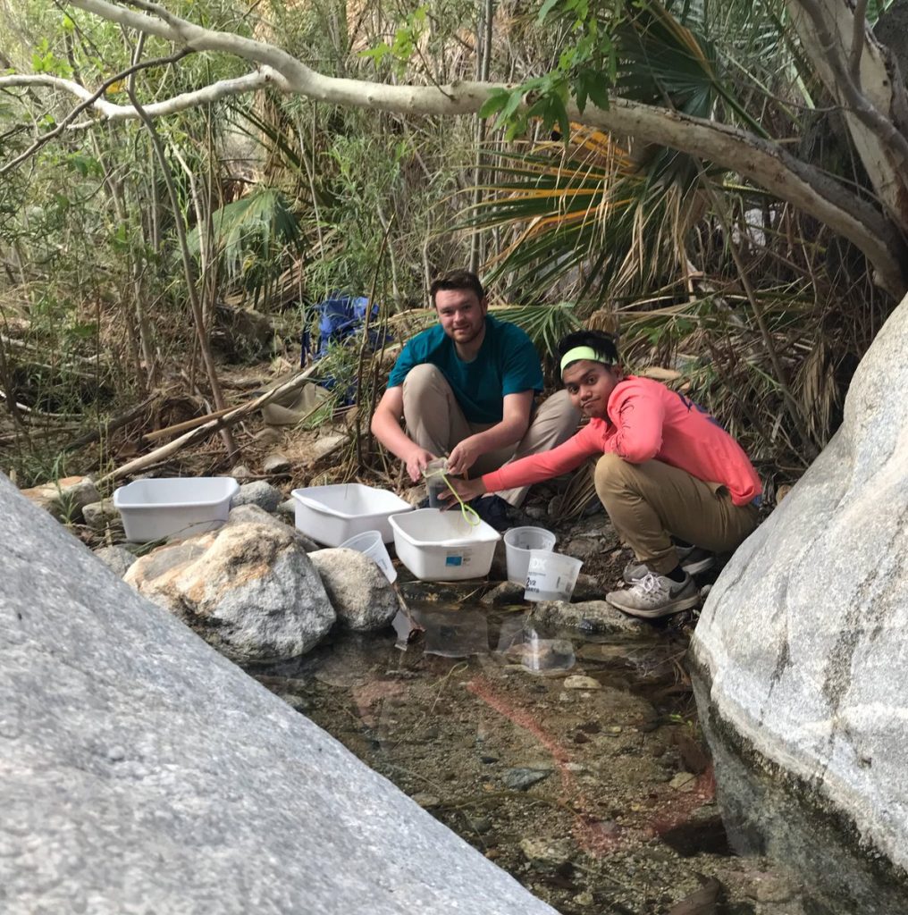 Conducting aquatic invertebrate surveys